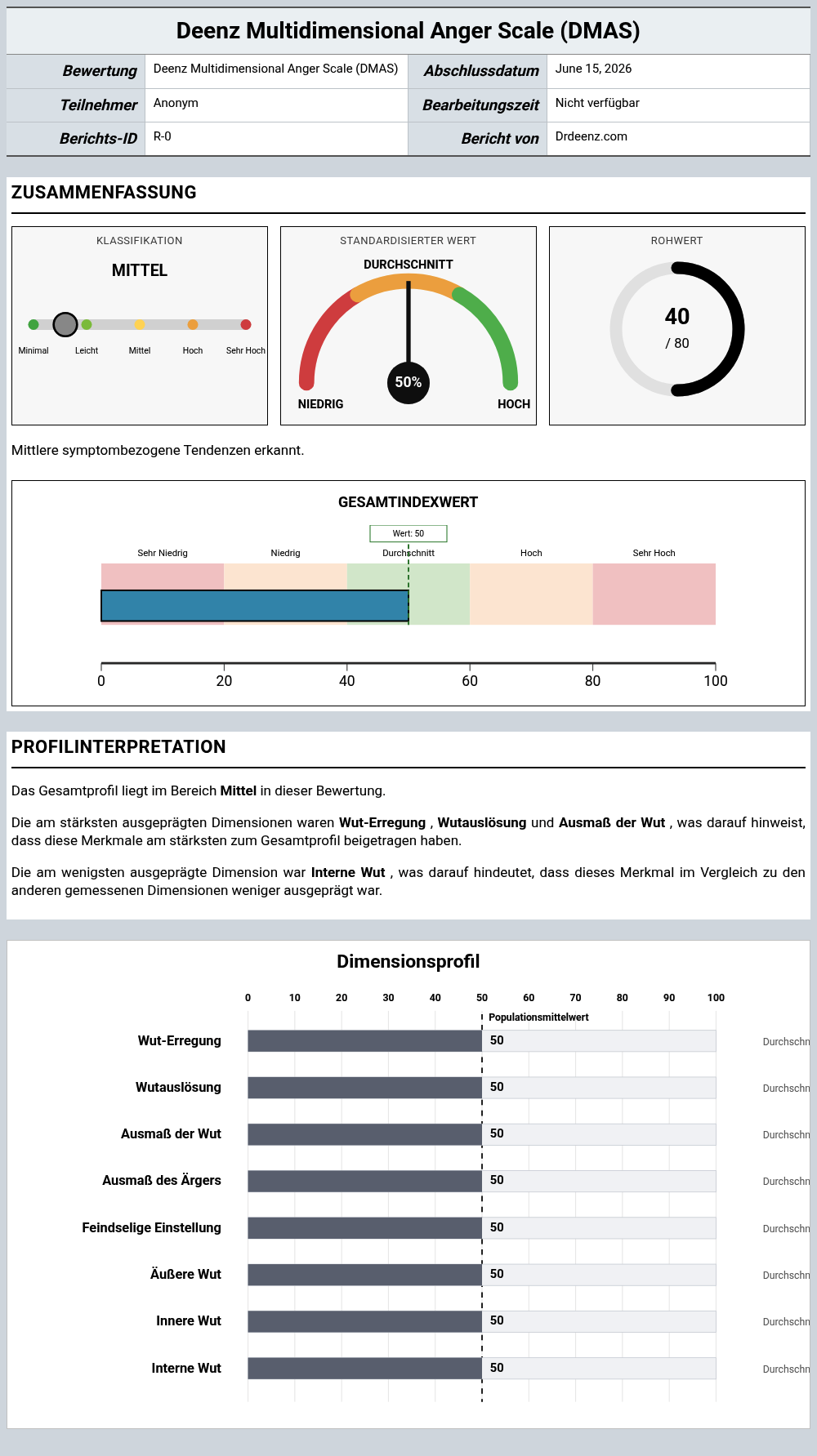 Deenz Multidimensional Anger Scale (DMAS)Beispielbericht mit Erläuterung der Punktwerte und Profilergebnissen